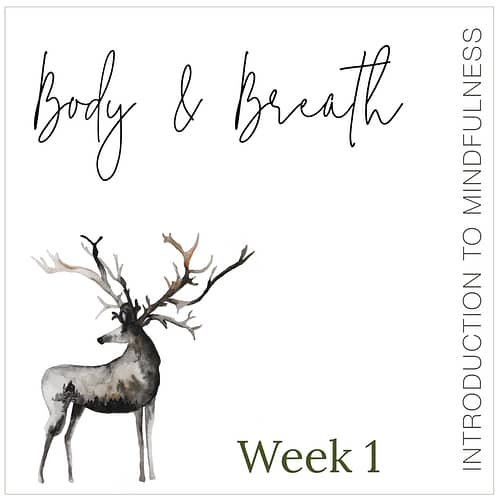 Week 1: Body & Breath