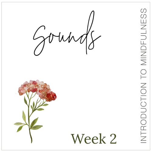 Week 2: Sounds