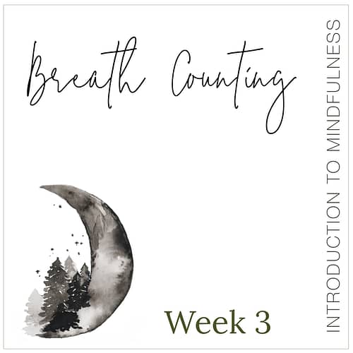 Week 3: Breath Counting