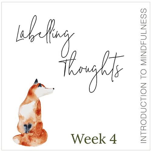 Week 4: Labelling Thoughts