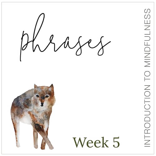 Week 5: Phrases