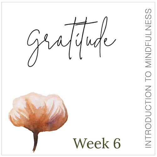 Week 6: Gratitude